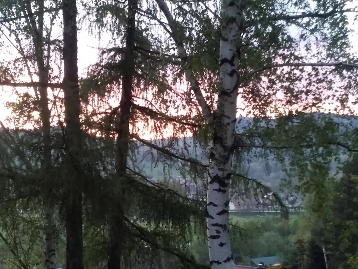 Nowa Jutrzenka Apartman Stryszawa Kültér fotó