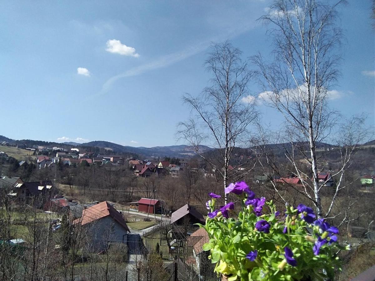 Nowa Jutrzenka Apartman Stryszawa Kültér fotó