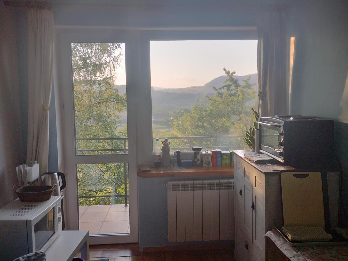 Nowa Jutrzenka Apartman Stryszawa Kültér fotó